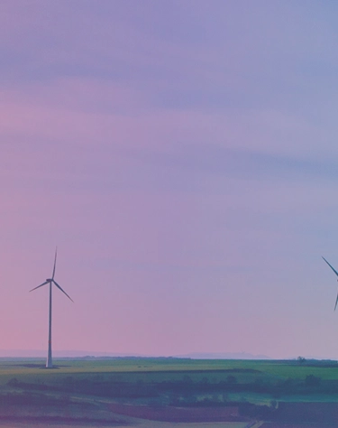 Pantallas Interactivas Sostenibles