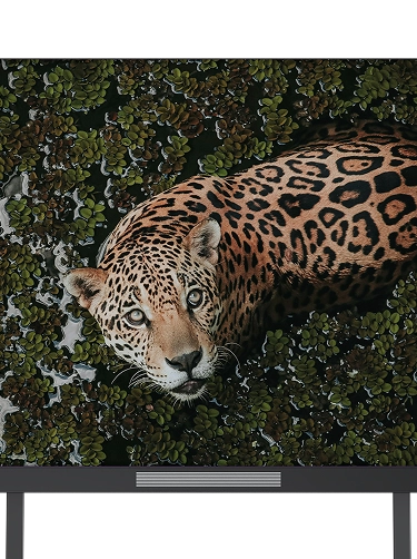 Pantalla LED compatible con Android, Windows y Apple TV